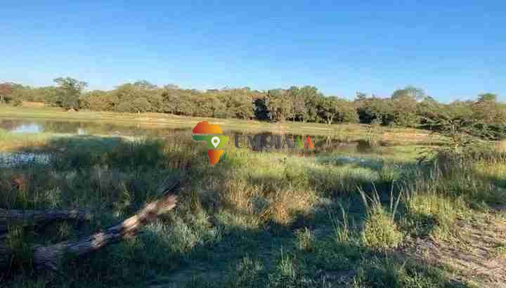 800 HECTARES FARM FOR SALE IN CHOMA, ZAMBIA