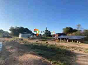 800 HECTARES FARM FOR SALE IN CHOMA, ZAMBIA