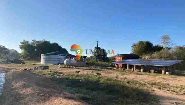 800 HECTARES FARM FOR SALE IN CHOMA, ZAMBIA