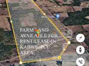 3 X PROPERTIES ON OFFER: