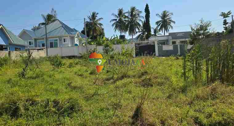 BIG PLOT FOR SALE IN GOBA NYARA, DAR ES SALAAM