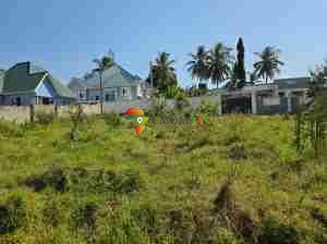 BIG PLOT FOR SALE IN GOBA NYARA, DAR ES SALAAM