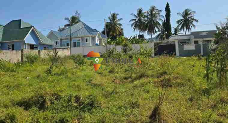 BIG PLOT FOR SALE IN GOBA NYARA, DAR ES SALAAM