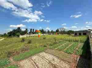 Plot for sale in Salasala, dar es salaam