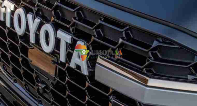 2023 TOYOTA LANDCRUISER LC 300 FOR SALE IN DAR ES SALAAM