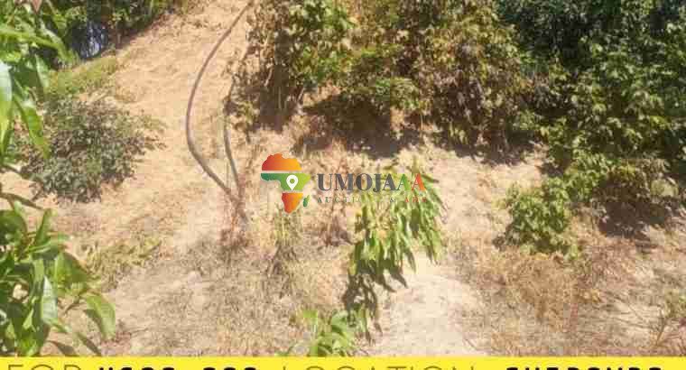 AGRICULTURAL PROPERTY FOR SALE IN LITETA CHIBOMBO