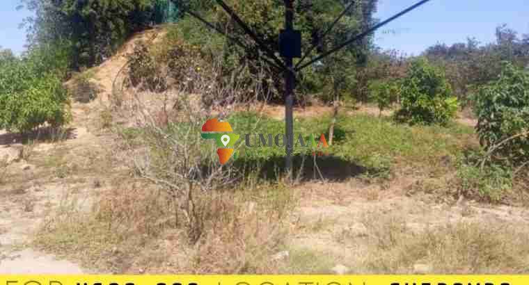 AGRICULTURAL PROPERTY FOR SALE IN LITETA CHIBOMBO