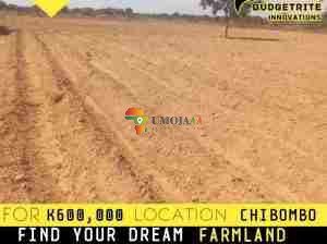 AGRICULTURAL PROPERTY FOR SALE IN LITETA CHIBOMBO