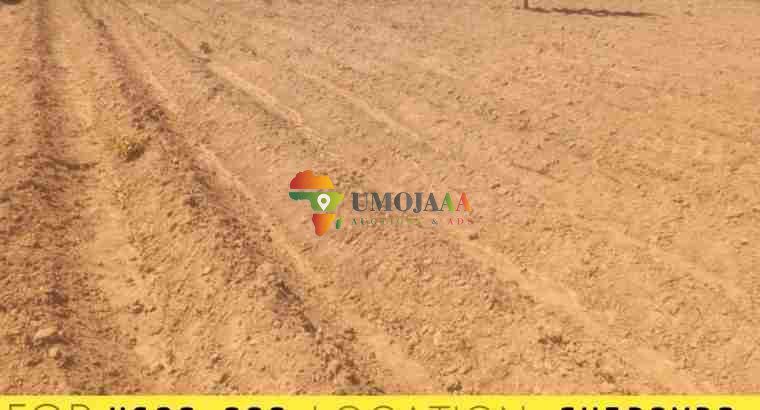 AGRICULTURAL PROPERTY FOR SALE IN LITETA CHIBOMBO
