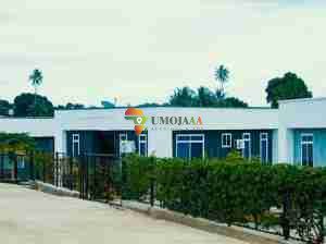 Nyumba zinazouzwa Hamidu city park