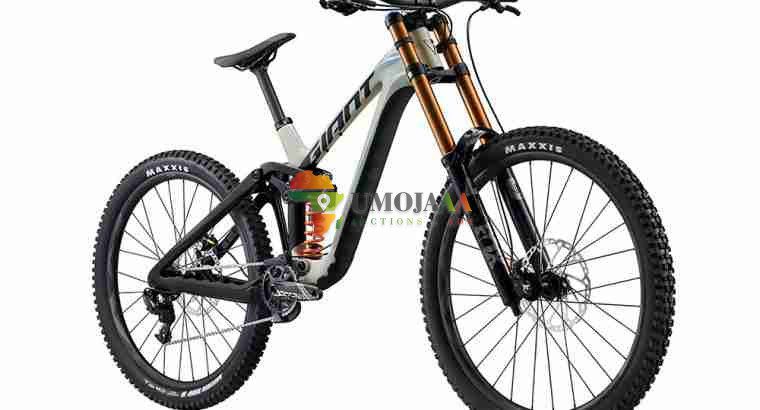 2024 Giant Glory Advanced Mountain Bike