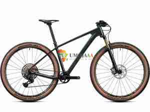 2024 Radon JEALOUS 10.0 EA Mountain Bike