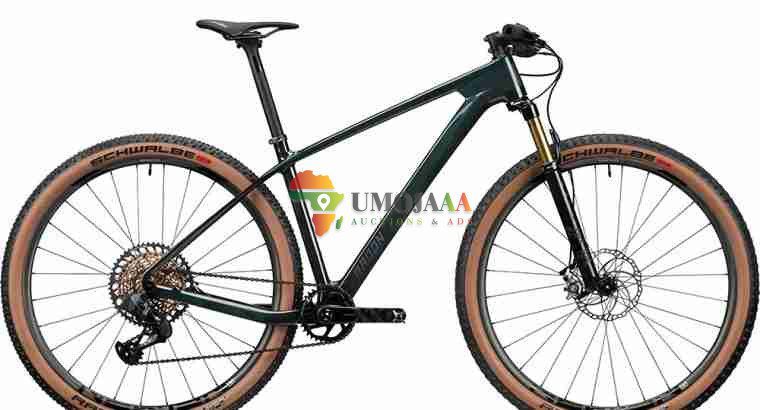 2024 Radon JEALOUS 10.0 EA Mountain Bike
