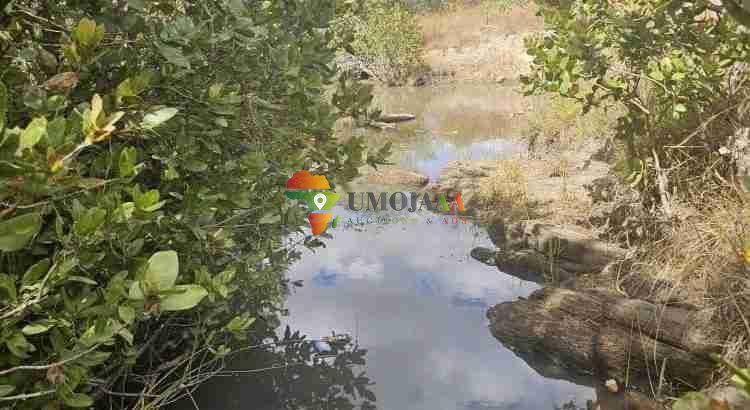 222 Ha Farm for sale in Chisamba, Zambia
