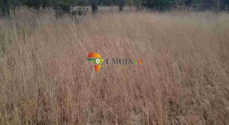 222 Ha Farm for sale in Chisamba, Zambia