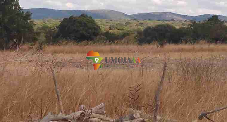 222 Ha Farm for sale in Chisamba, Zambia