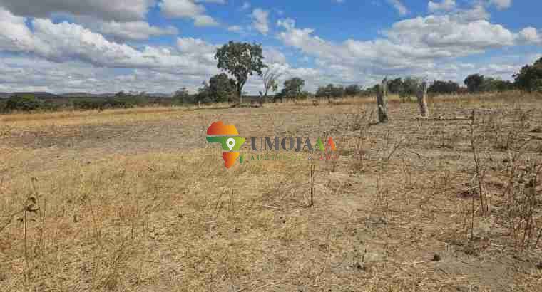 222 Ha Farm for sale in Chisamba, Zambia