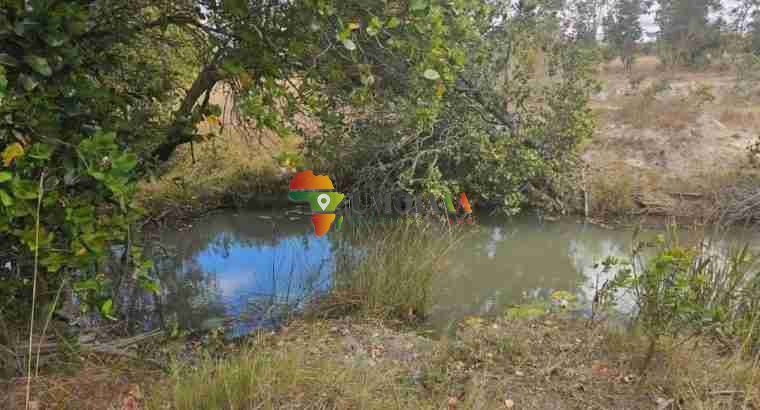 222 Ha Farm for sale in Chisamba, Zambia