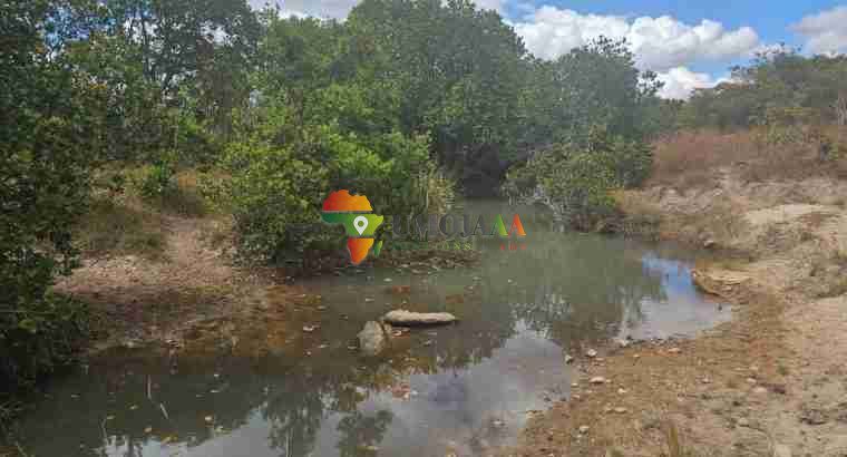 222 Ha Farm for sale in Chisamba, Zambia