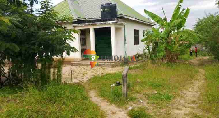 Public Auction in Mivumoni Tegeta, Dar es salaam