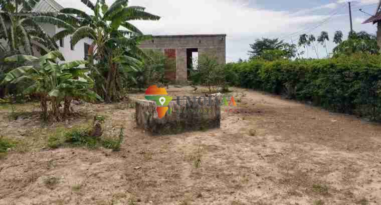 Public Auction in Mivumoni Tegeta, Dar es salaam
