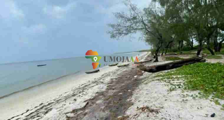 A big Beach plot is on market in Bagamoyo