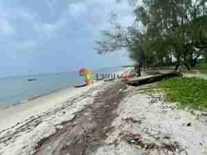 A big Beach plot is on market in Bagamoyo