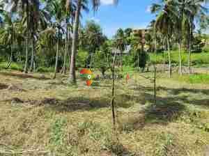 3 plots for sale Mbezi Luguruni, Dar es salaam