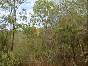 A 110-acre farm in Handeni Komkonga for sale