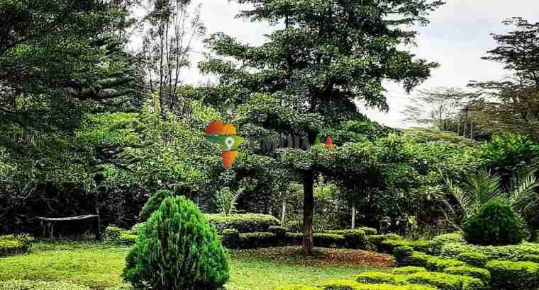 10 ROOMS: LUXURIOUS HOME FOR SALE IN KAREN, HARDY AREA, NAIROBI