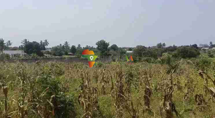 Plot for sale in Salasala Mwanzoni, Dar es salaam