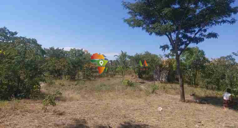 ARDHI YA MUHIMU INAPATIKANA INAUZWA LUSAKA