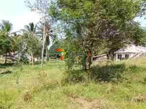 Plot for sale in Salasala, Dar es salaam