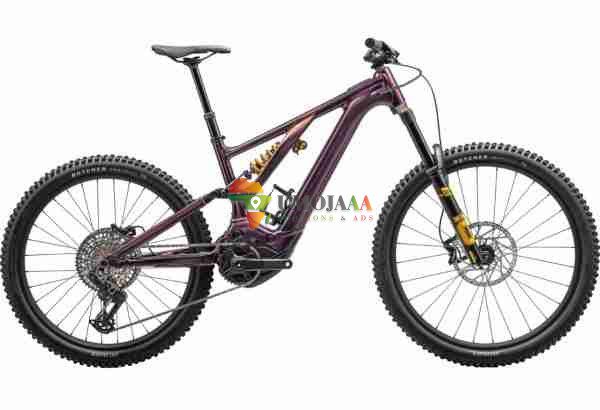 2024 Specialized Levo Alloy Öhlins Coil LTD Electric