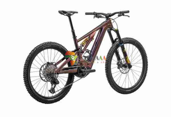 2024 Specialized Levo Alloy Öhlins Coil LTD Electric