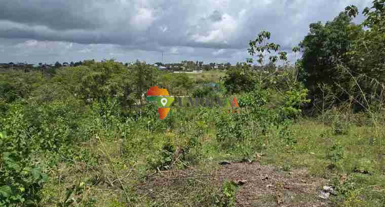 The plot is for sale Mbezi Juu, Dar es salaam