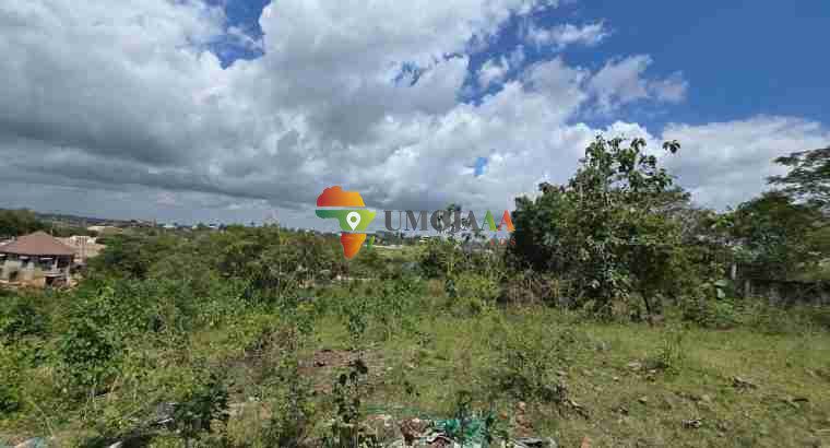 The plot is for sale Mbezi Juu, Dar es salaam
