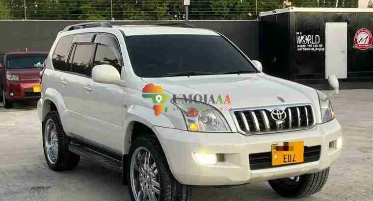 Land Cruiser Prado TX120 for sale in Dar es salaam