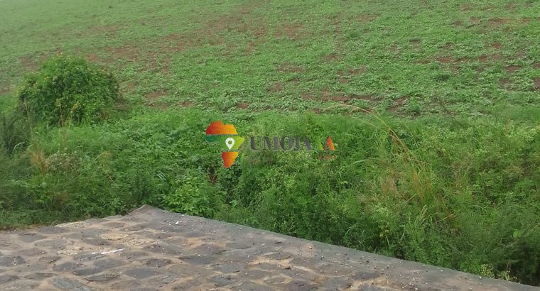 76 Ha, Agricultural Land for sale in Bujumbura, Burundi