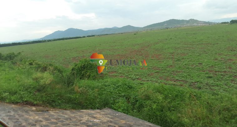 76 Ha, Agricultural Land for sale in Buj...