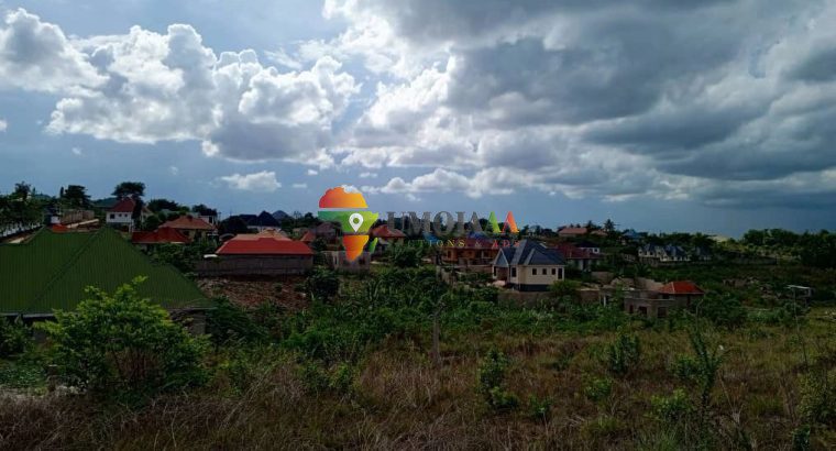 NICE BIG PLOT OF MBEZI MSAKUZI FOR SALE