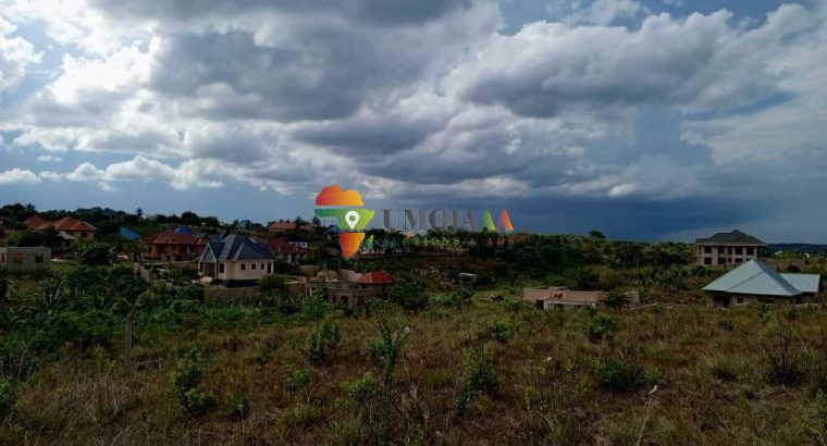 NICE BIG PLOT OF MBEZI MSAKUZI FOR SALE