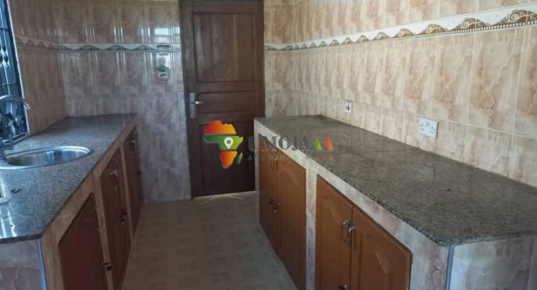 MBEZI KWA MSUGURI HOUSE NEEDS 55 MILLION TSH ONLY