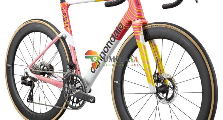 2024 Cannondale SuperSix EVO LAB71 Team (M3BIKESHOP)