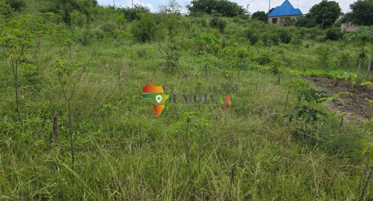 Parcelles à vendre à Goba Kulangwa, Dar es Salaam