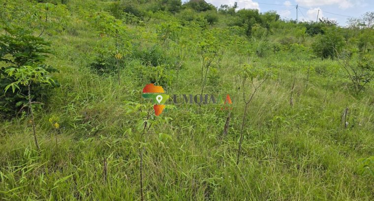 Viwanja vinauzwa Goba Kulangwa, Dar es salaam