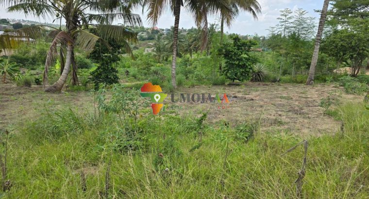 Viwanja vinauzwa Goba Kulangwa, Dar es salaam