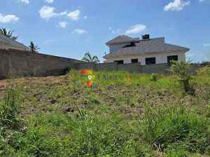 Kiwanja kinauzwa Madale Mwisho, Dar es salaam