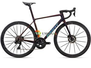 2025 Giant TCR Advanced SL 0 Road Bike (ALANBIKESHOP)
