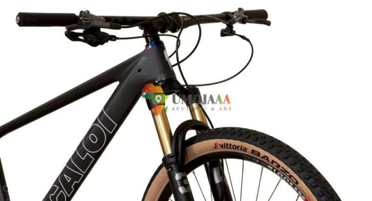 2025 Caloi ELITE CARBON TEAM Mountain Bike (CENTRACYCLES)
